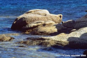 mikonos696_07