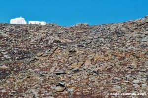 mikonos_paradise696_32