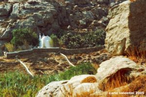 mikonos_plati_yalos694_39