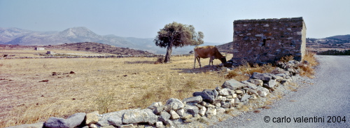 naxos23_431