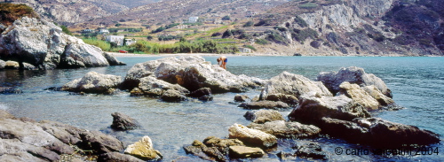 naxos24_624