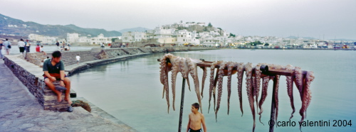 naxos25_532