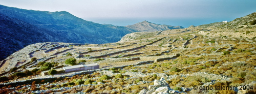 naxos27_513