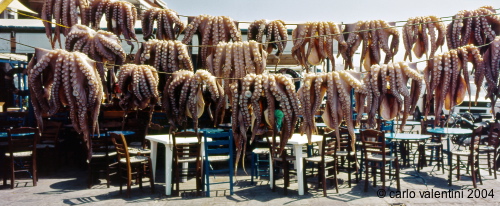 naxos29_625