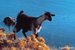 patmos1220_02