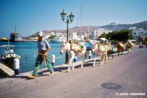 patmos1220_34