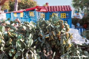 patmos1221_03