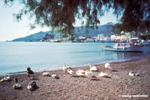 patmos1221_18