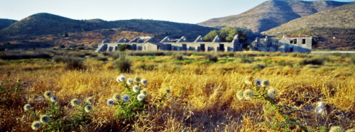 samos02_517