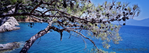 samos03_618