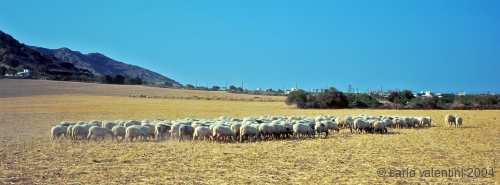 skiros56_529