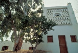 tinos701_47