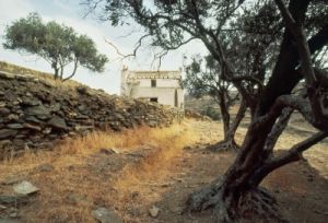 tinos702_02