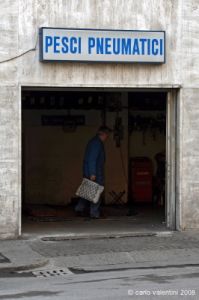 bologna_pesci_pneumatici