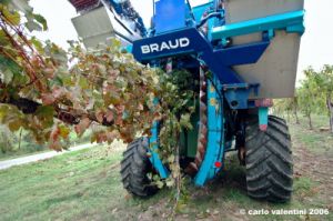 chianti_albola40
