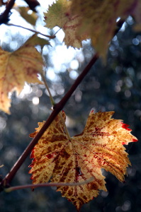 mercatale23_021027