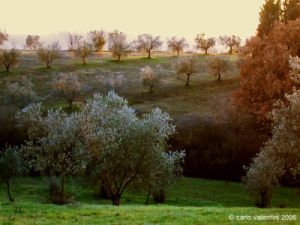 castel_ruggero2