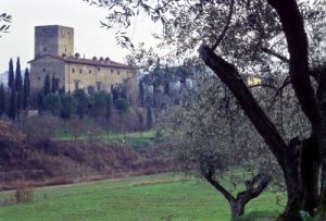chianti850102a69