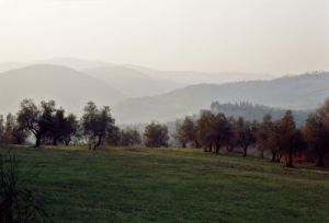 rufina850203b69