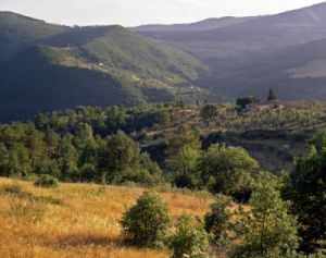 santa_brigida850807a45