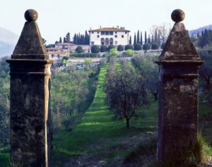 villa_ginori840424a45