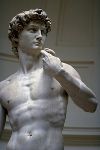 david_michelangelo442_28
