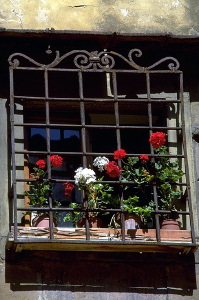 ponte_vecchio850_11