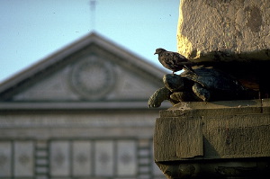 PCD0338_010