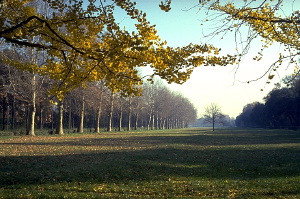 cascine223_20