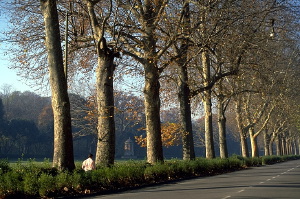 cascine222_03