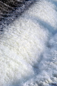 acqua_pescaia_santarosa1