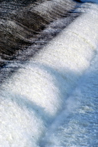 acqua_pescaia_santarosa2