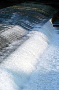 acqua_pescaia_santarosa3