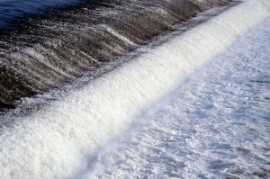 acqua_pescaia_santarosa4