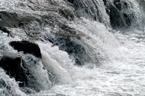arno_acqua_030311