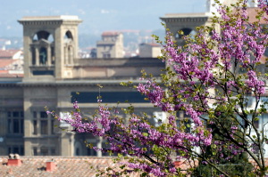 biblioteca_nazionale_030423