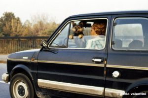 cane_auto729_39