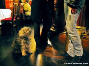 cibreo_bar02