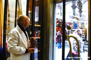 farmacia_cinghiale09