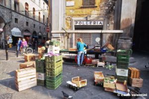 firenze726_26