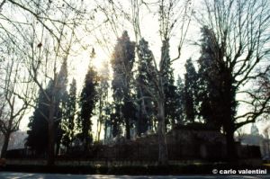 firenze762_20