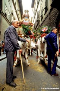 firenze805_46