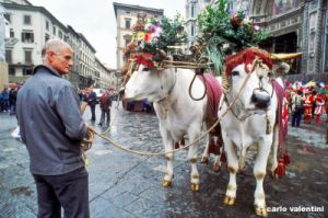firenze806_20