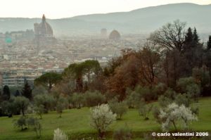 firenze_da_rovezzano1