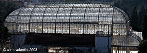 firenze_serra_orticoltura4