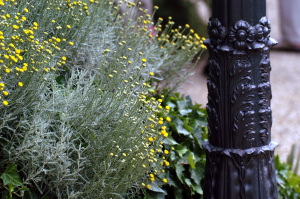 giardino_delle_rose07