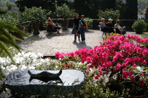 giardino_delle_rose1