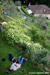 giardino_delle_rose2_060507