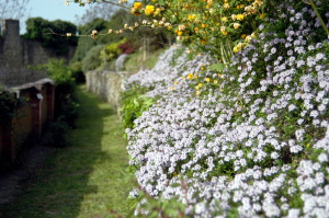 giardino_delle_rose3