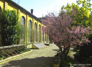 giardino_semplici005